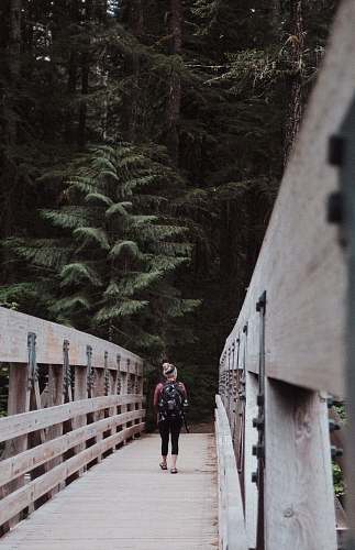 united states woman walking on brown wooden bridge path